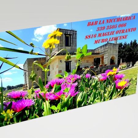 B&B La Nicchiarica Muro Leccese Luaran gambar